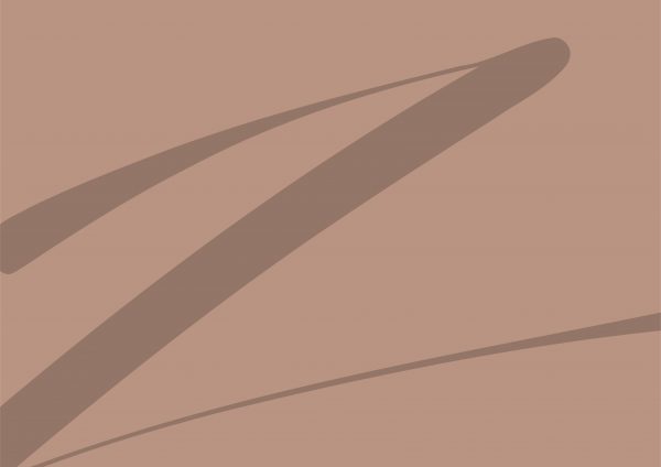 z-logo